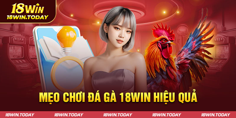 Mẹo chơi đá gà 18win hiệu quả 