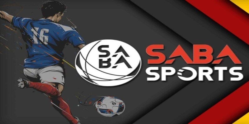 Người chơi cẩn trọng soi kèo trước khi cược saba sports