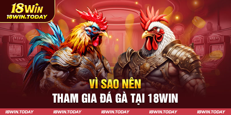 Vì sao bạn nên tham gia đá gà online tại nhà cái 18win